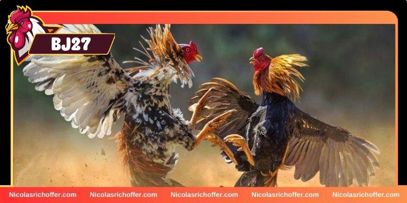 Chiến thuật huấn luyện quyết định chiến thắng Chiến thuật huấn luyện quyết định chiến thắng