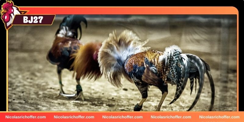 Hàng trăm trận đấu hấp dẫn Hàng trăm trận đấu hấp dẫn