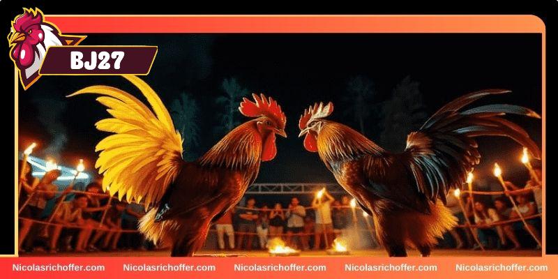 Khám phá các kinh nghiệm chơi đá gà Khám phá các kinh nghiệm chơi đá gà