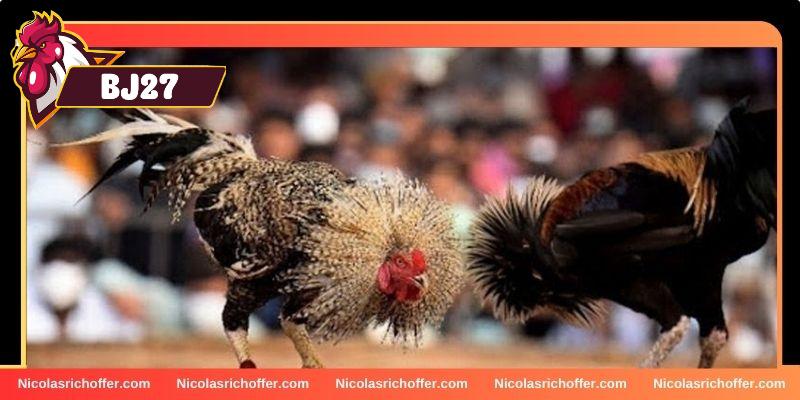 Các nguyên nhân nên trải nghiệm game tại BJ27 Các nguyên nhân nên trải nghiệm game tại BJ27