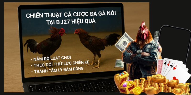 Chiến thuật cá cược đá gà nồi tại BJ27 hiệu quả